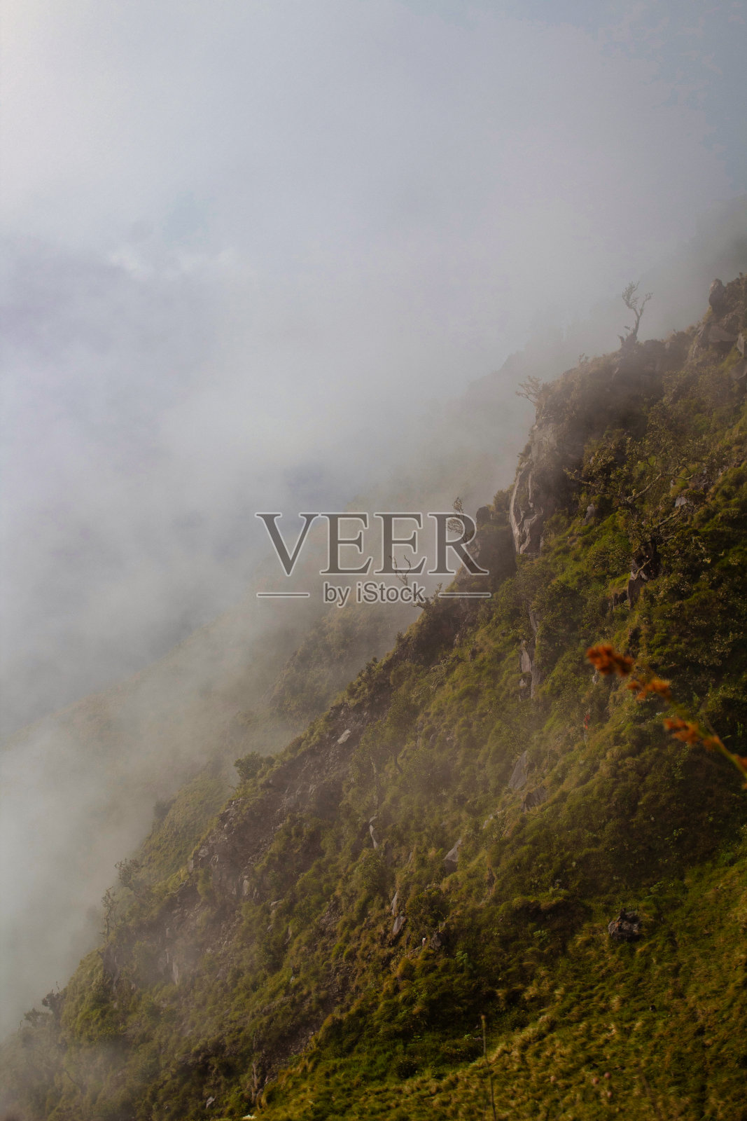 神奇的印尼照片摄影图片