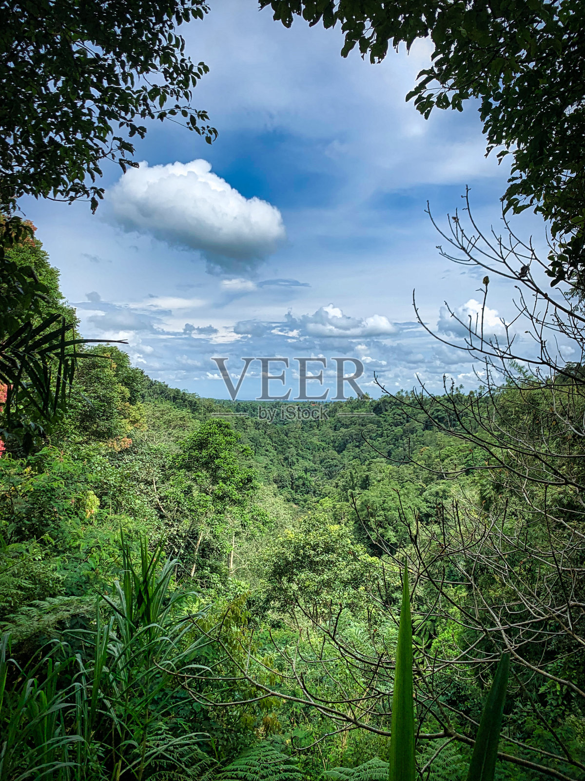 神奇的印尼照片摄影图片