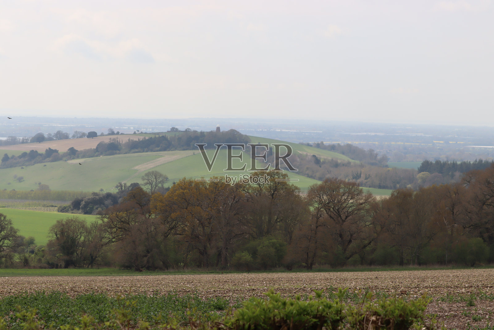 古德伍德照片摄影图片