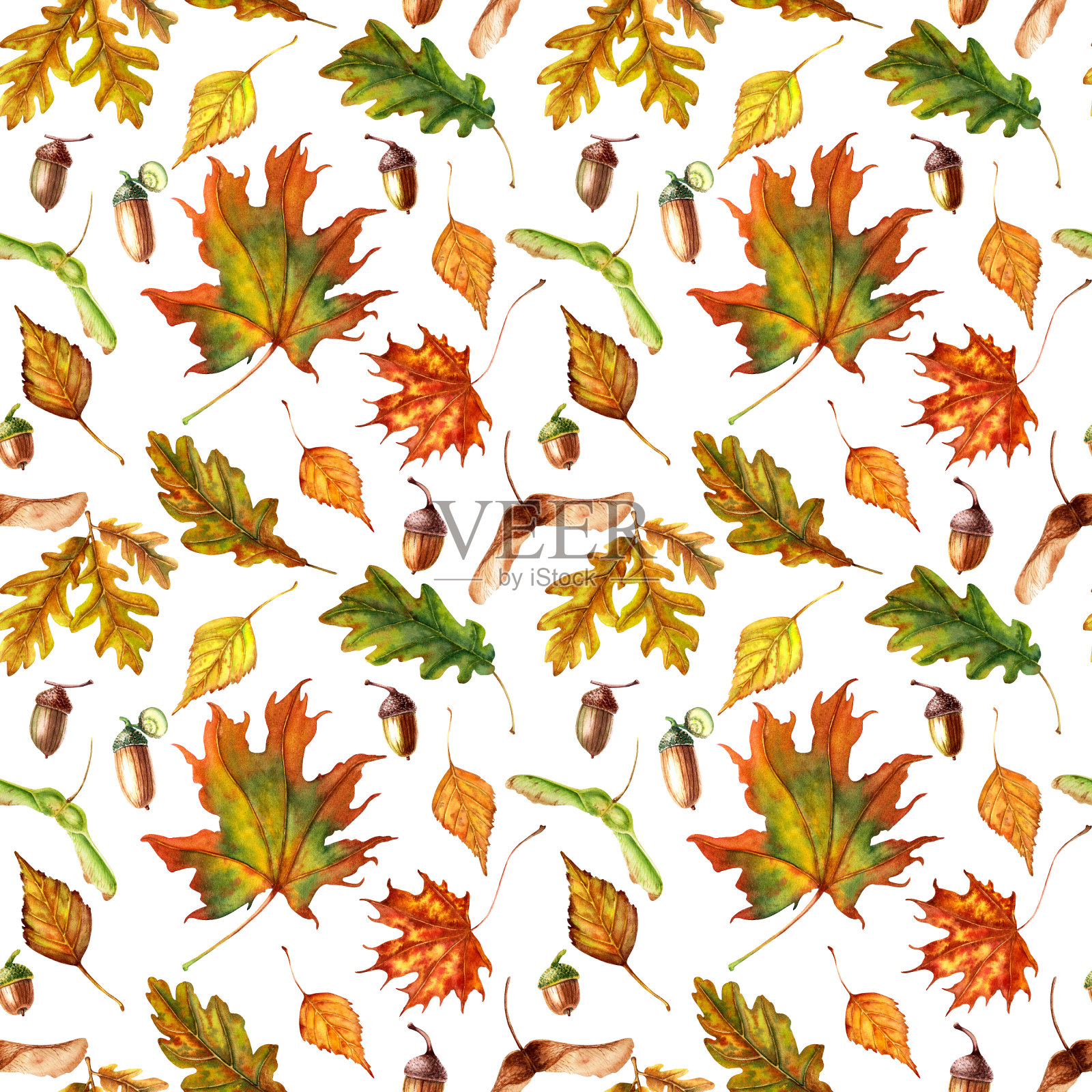 水彩无缝图案与彩色秋叶和种子隔离在白色插画图片素材