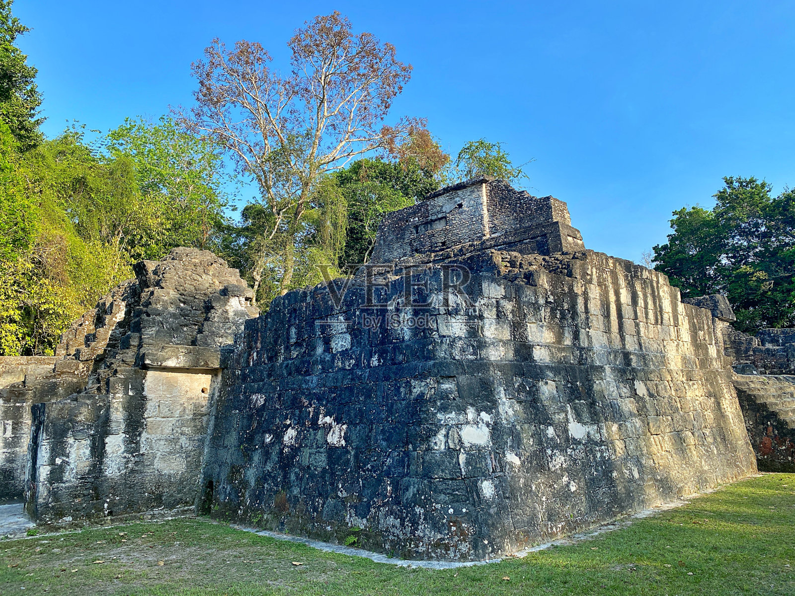 卡尔照片摄影图片