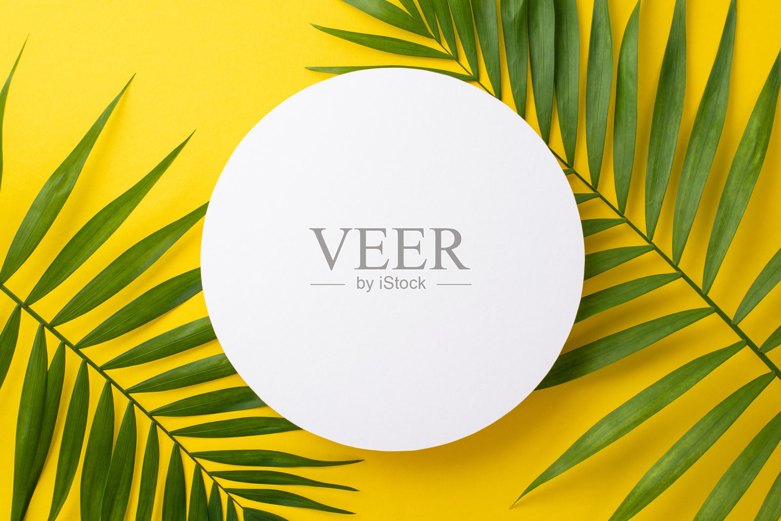 准备好迎接夏天，这个充满活力的顶视图平躺照片具有新鲜的绿色棕榈叶在阳光明媚的黄色背景与空间的信息或广告照片摄影图片