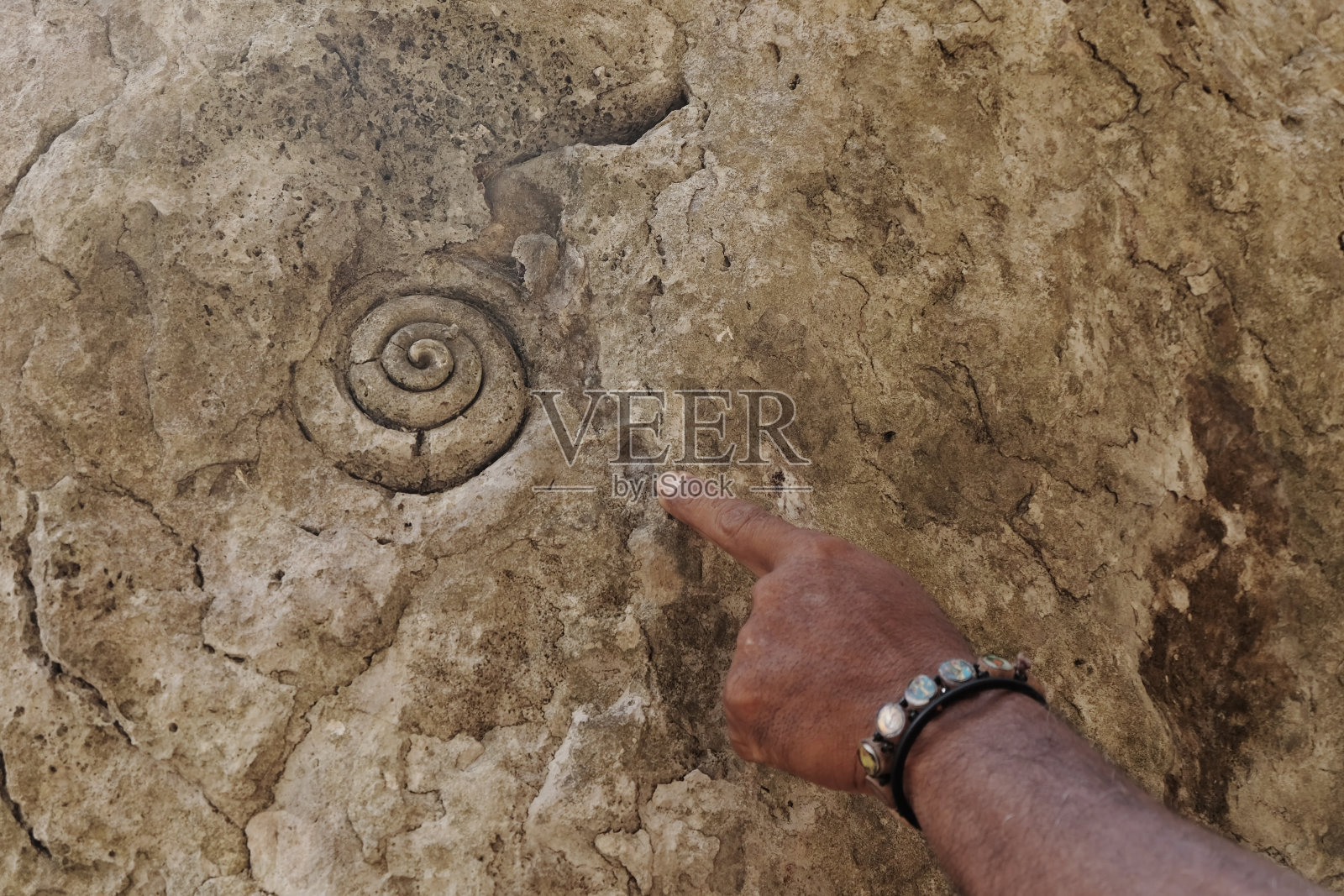 在东努沙登加拉的纳闽巴霍，镜子石洞穴的石墙上的海洋动物化石照片摄影图片