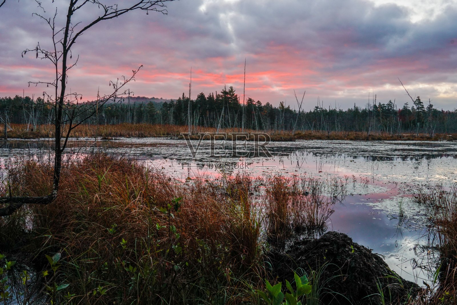 池塘上的日出照片摄影图片