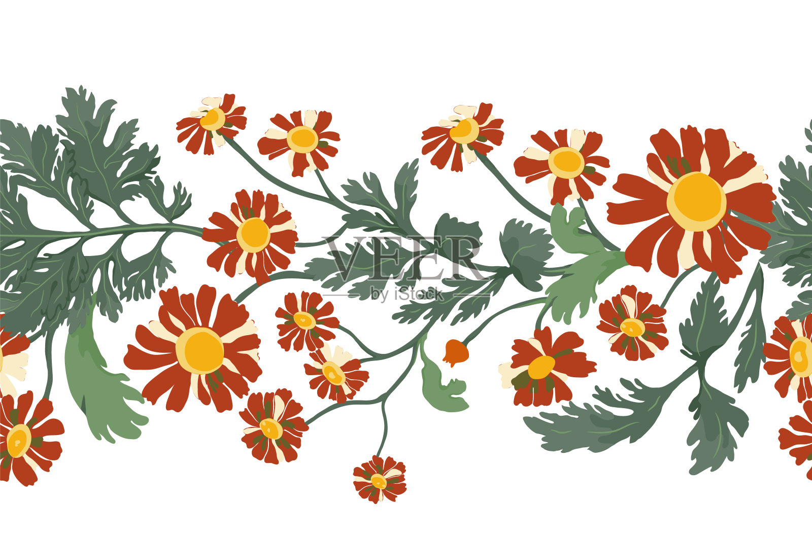 隔离无缝边界与花园鲜花插画图片素材