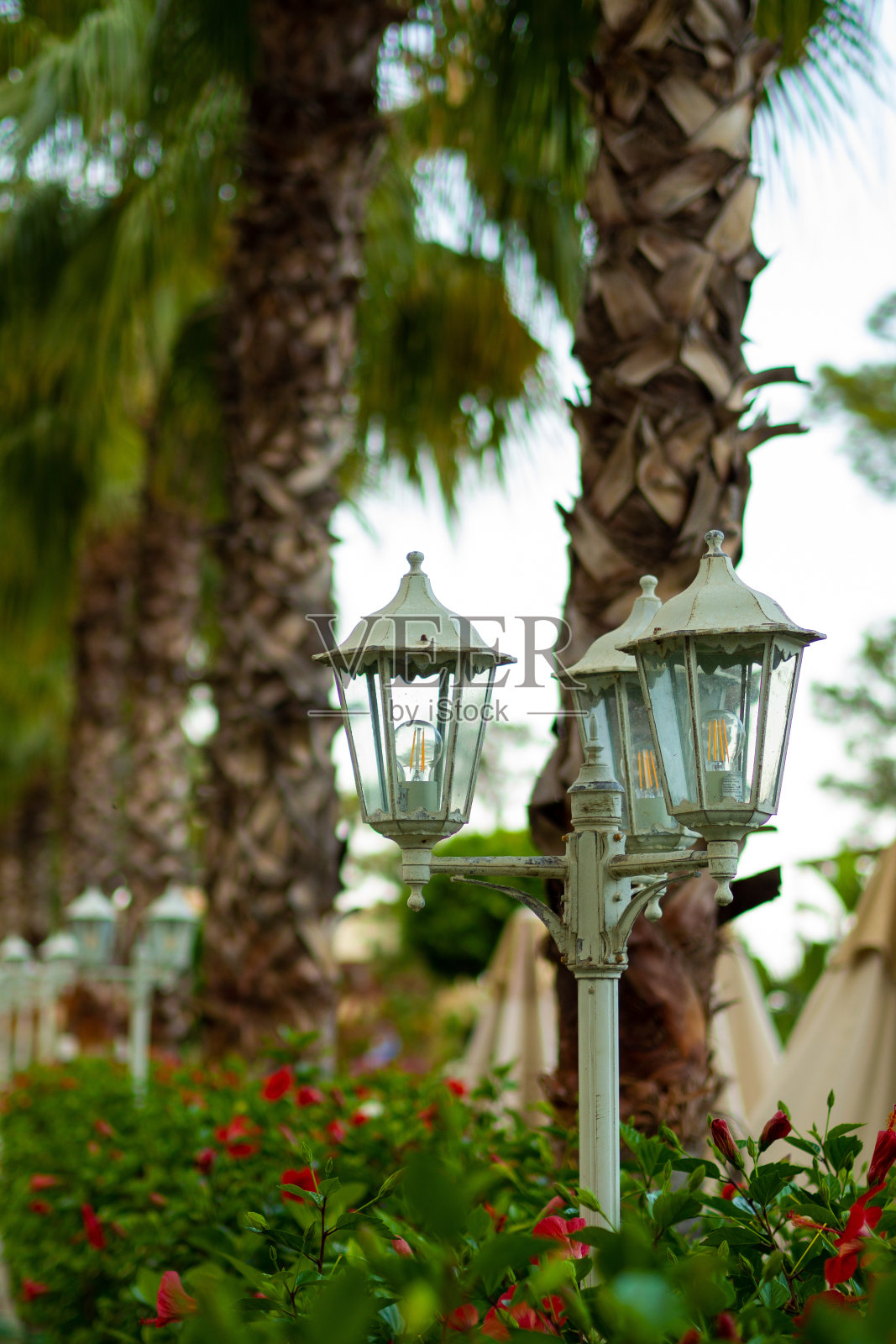 带有锻造元素的白铁街灯特写照片照片摄影图片