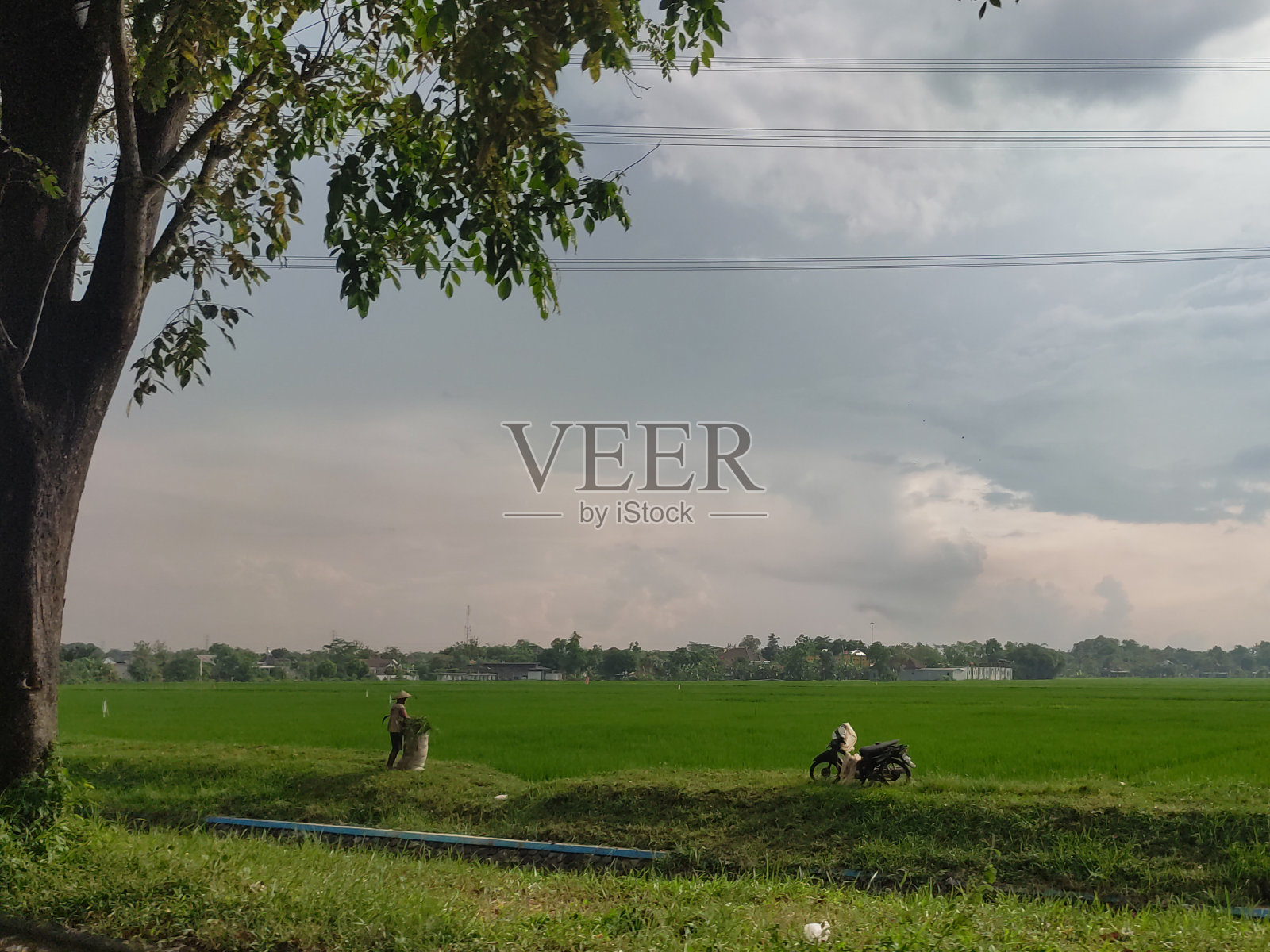 美丽的照片摄影图片