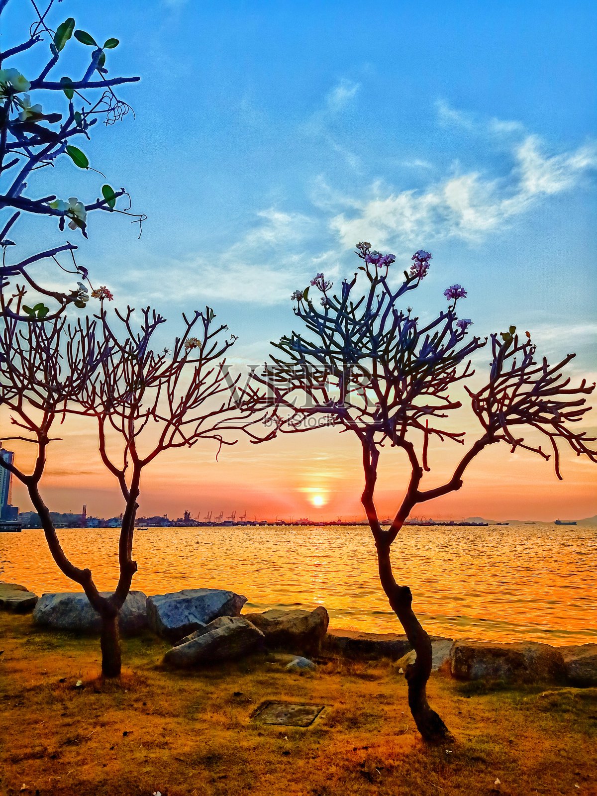 公园的海滩照片摄影图片