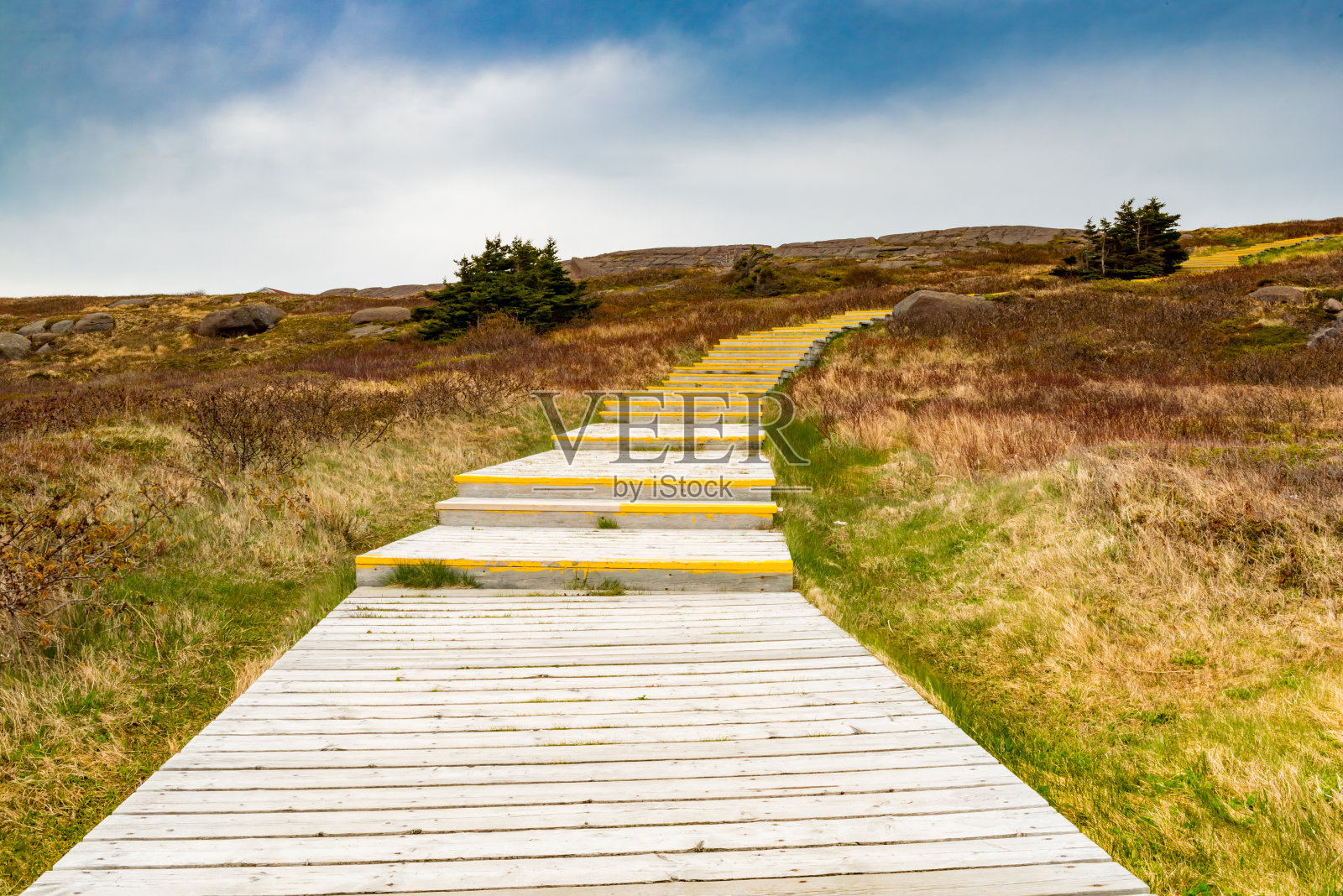 加拿大纽芬兰和拉布拉多的斯皮尔角灯塔国家历史遗址国家公园徒步之旅照片摄影图片
