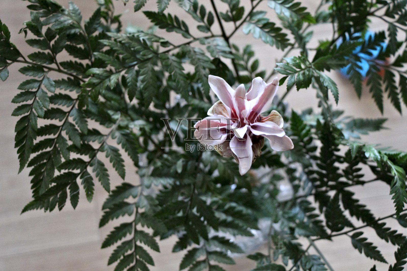 个人照片摄影图片