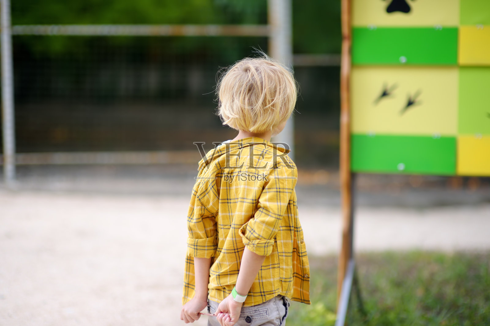 小男孩正在参观户外宠物动物园。孩子在农场和动物玩耍。儿童和动物。假日有孩子的家庭娱乐照片摄影图片