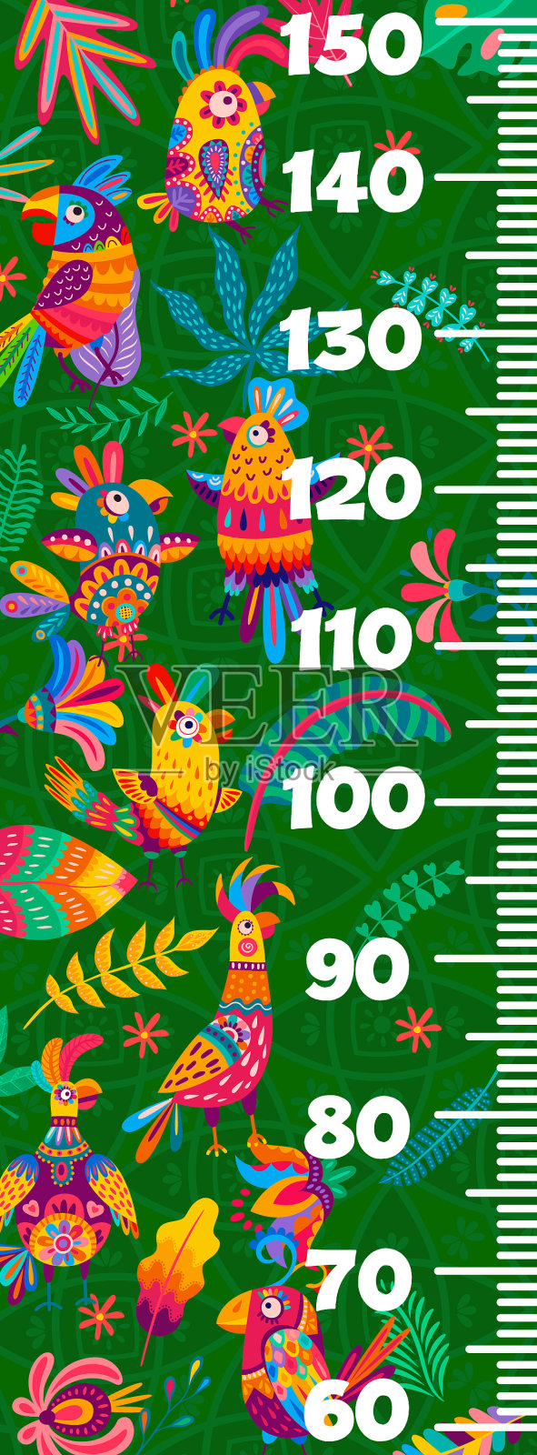 巴西和墨西哥鹦鹉的儿童身高表插画图片素材