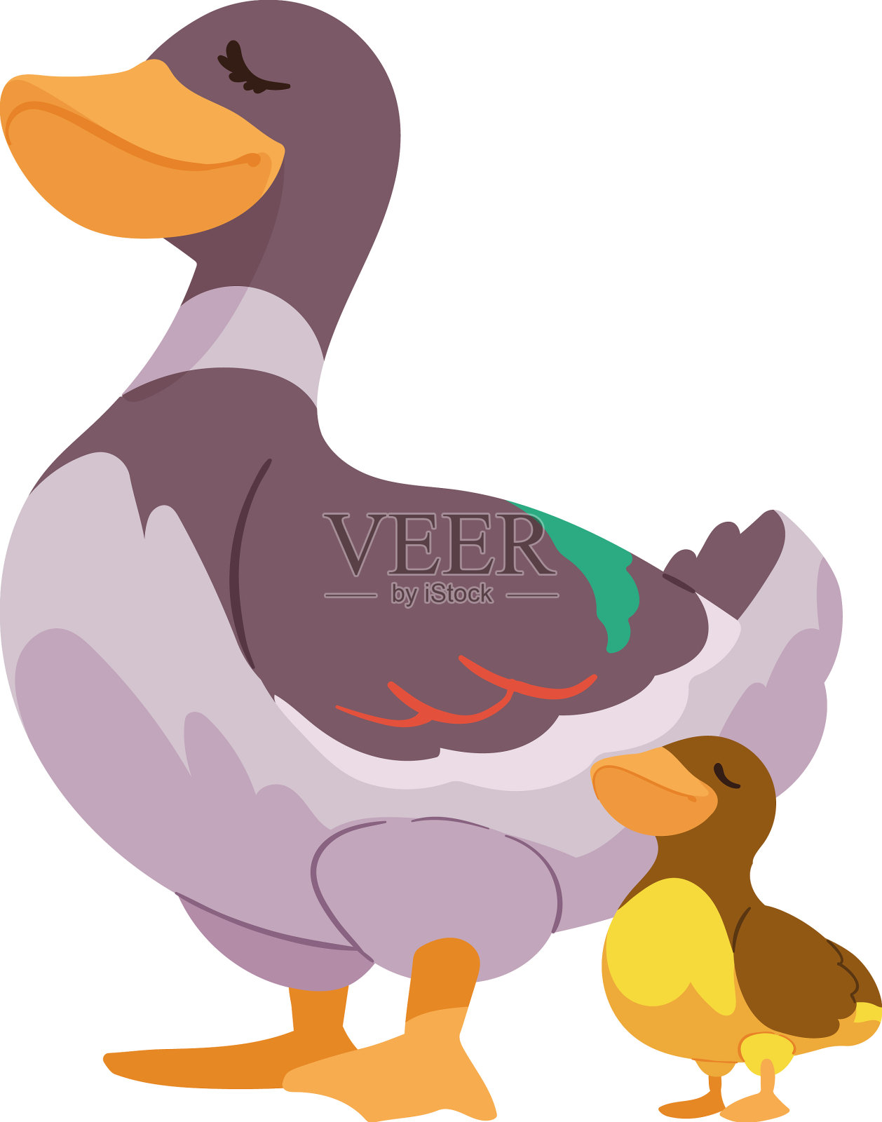 鸭妈妈带着孩子插画图片素材