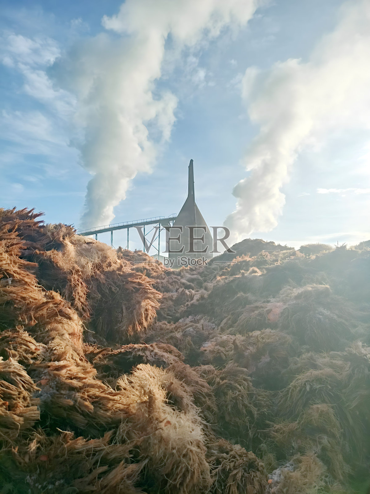 棕榈油厂燃烧区照片摄影图片