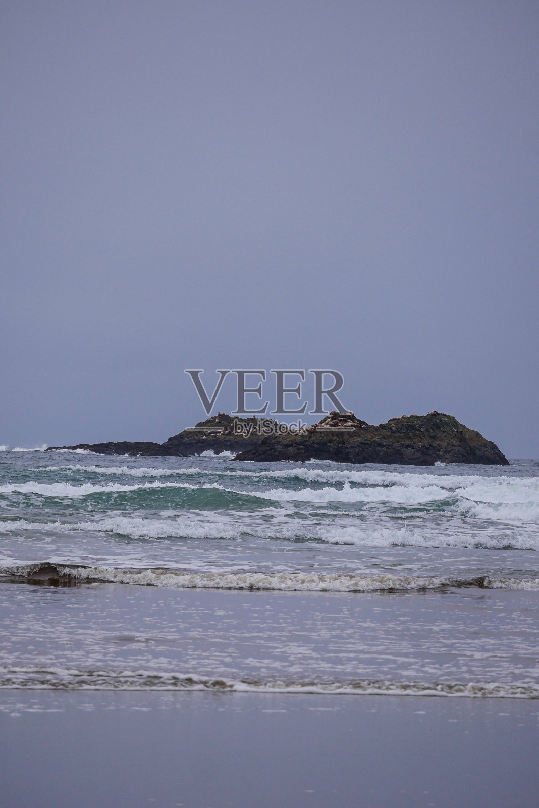 加拿大环太平洋国家公园保护区Combers海滩附近的海豹岩照片摄影图片