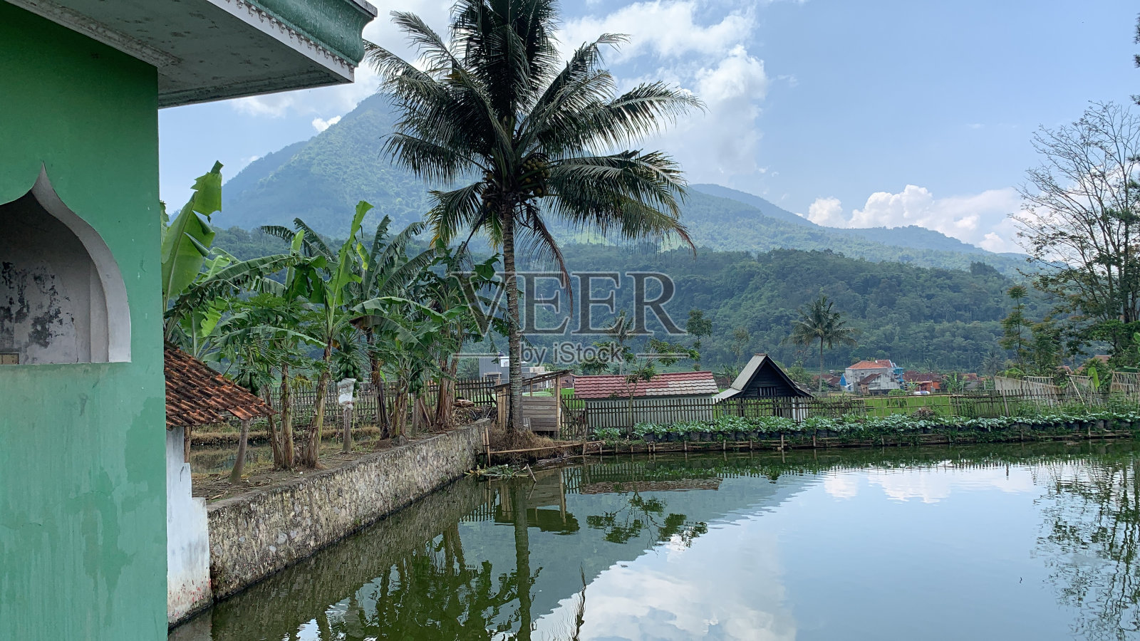 加鲁特照片摄影图片