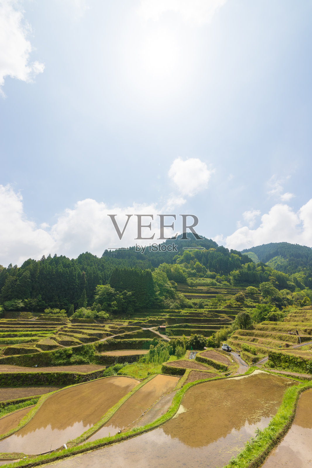 梯田照片摄影图片