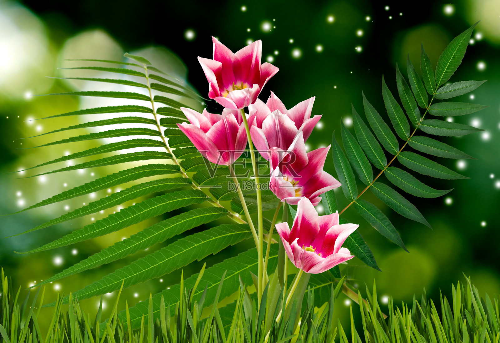 在绿色模糊的背景上，美丽明亮的节日花朵的图像照片摄影图片