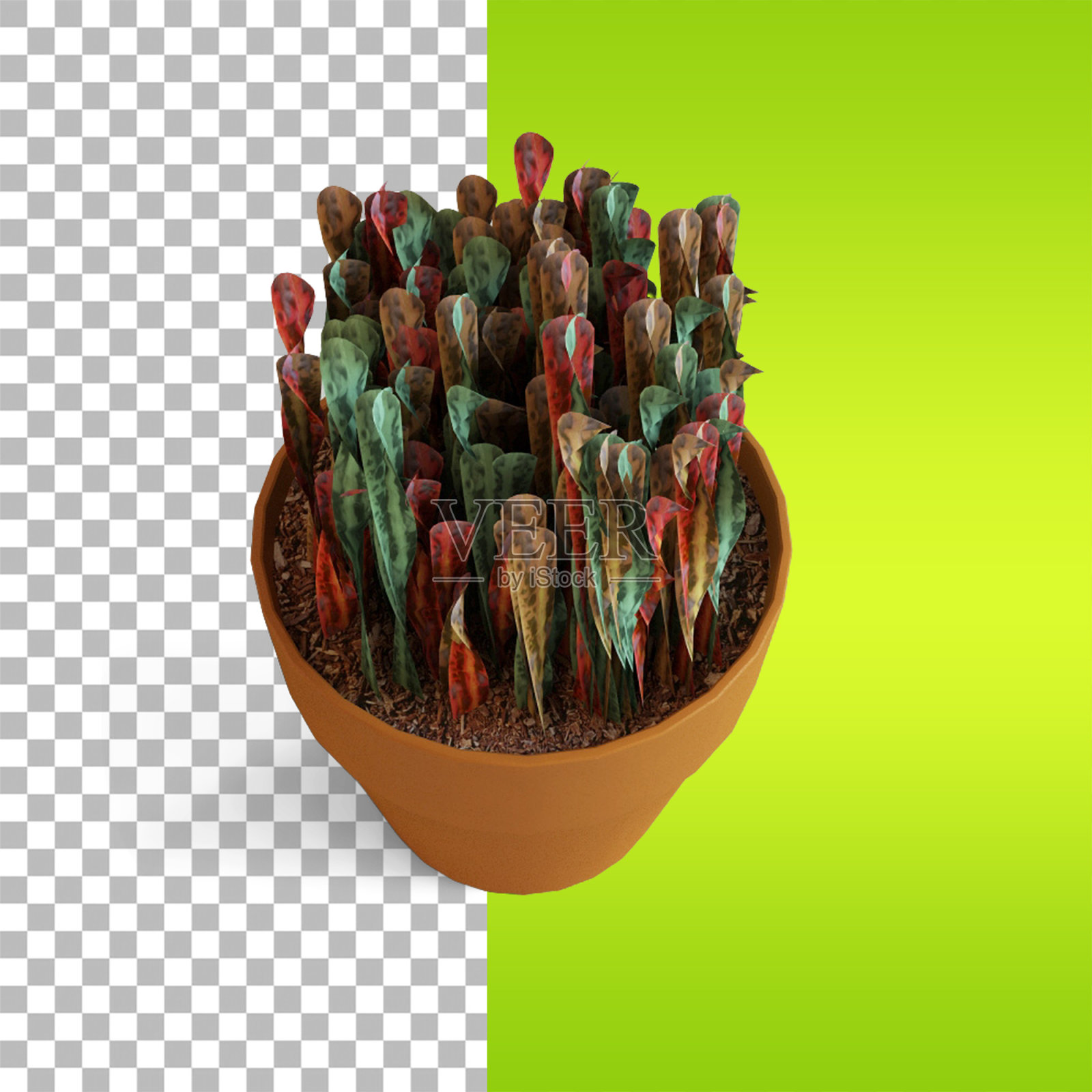 室内盆栽设计。照片摄影图片