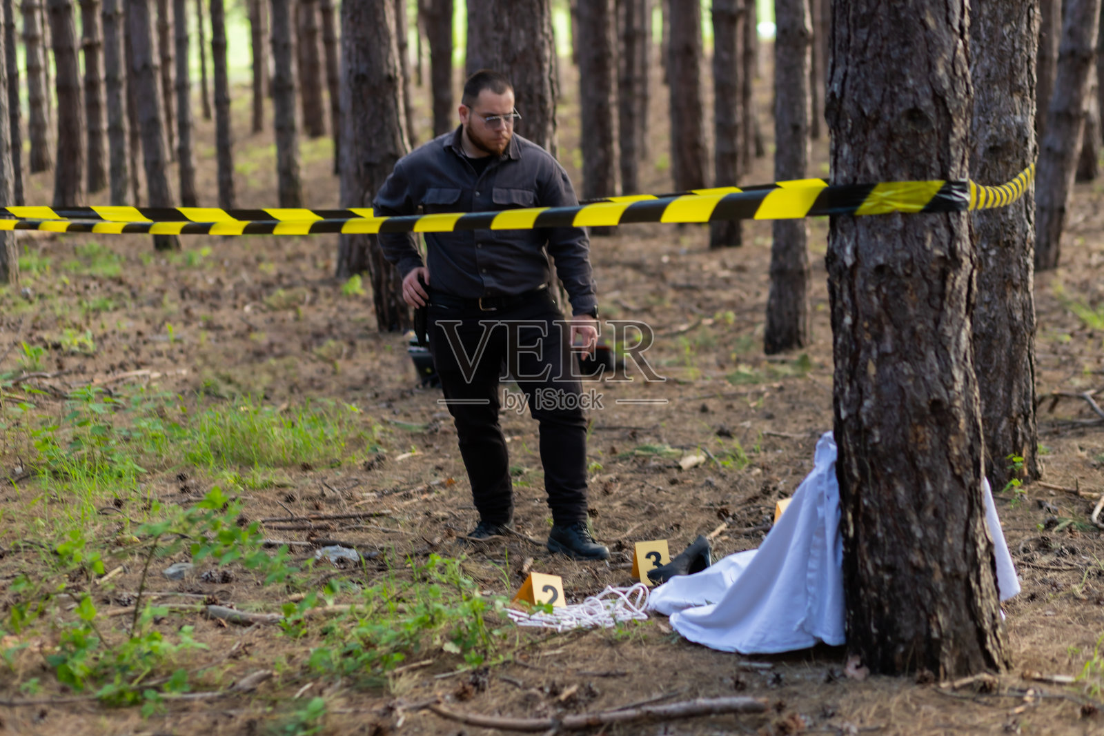 年轻的侦探来到森林里的犯罪现场，看着受害者的尸体和证据，戴上手套，开始调查。照片摄影图片
