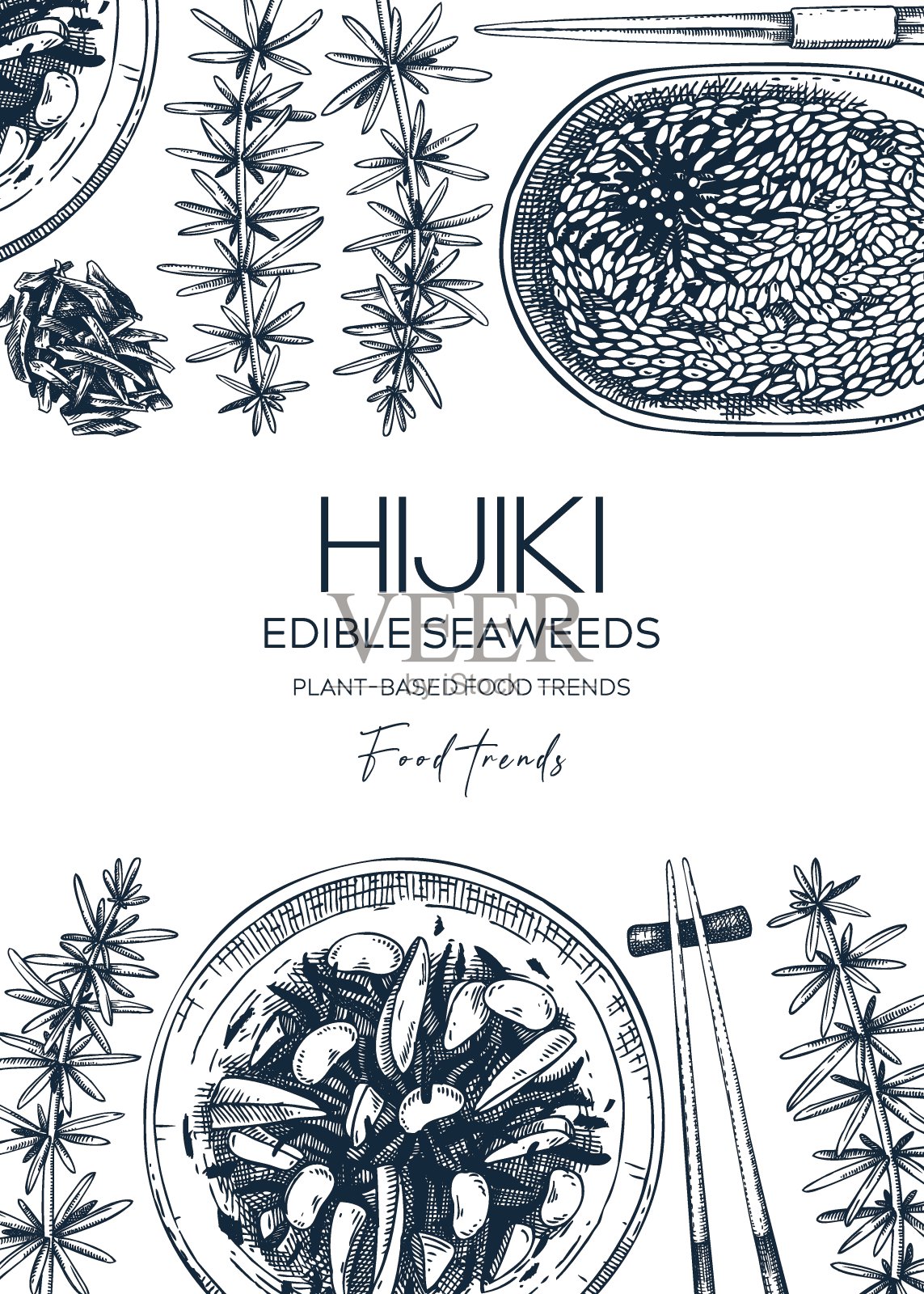 食用海带菜肴设计插画图片素材