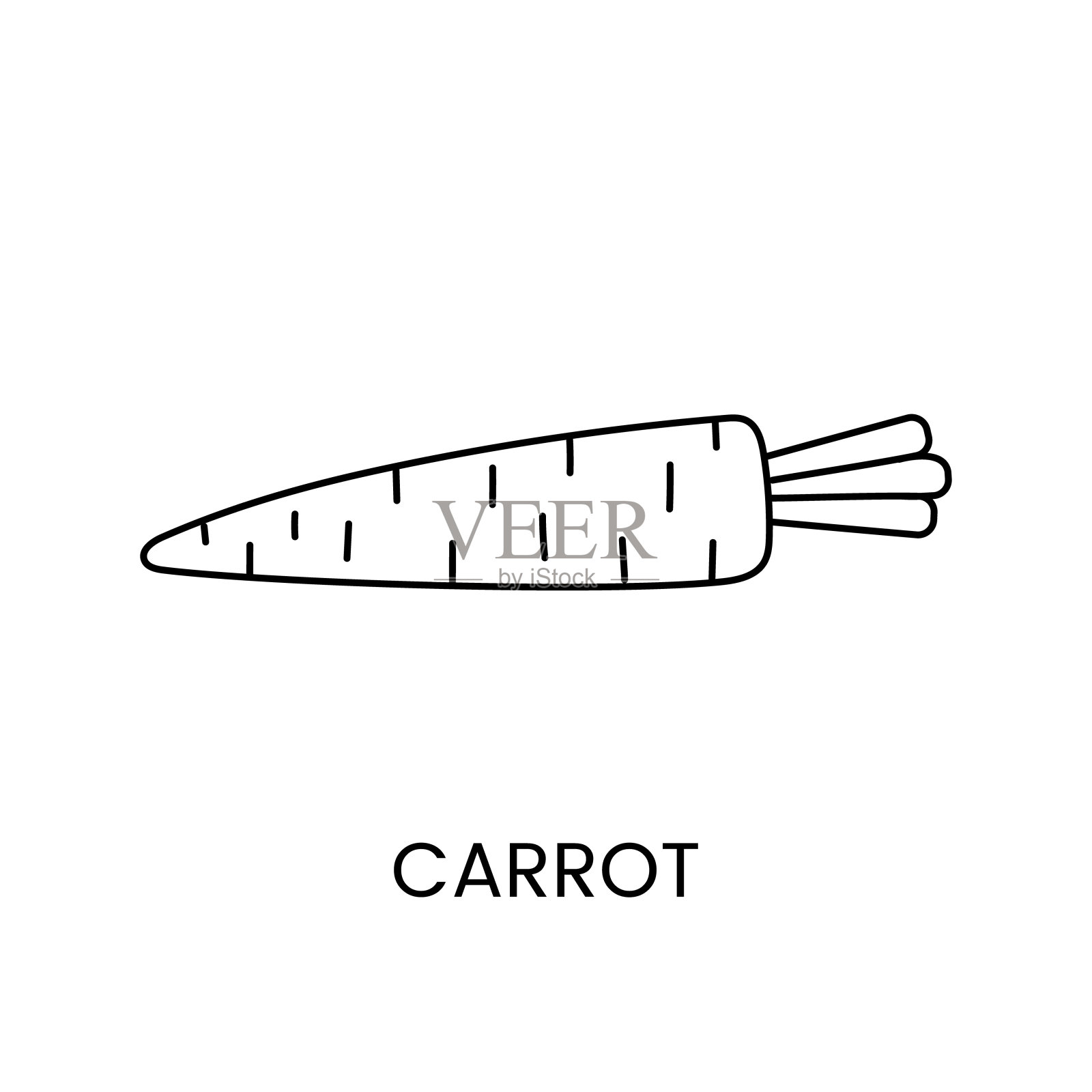 胡萝卜线图标在矢量，蔬菜插图。插画图片素材