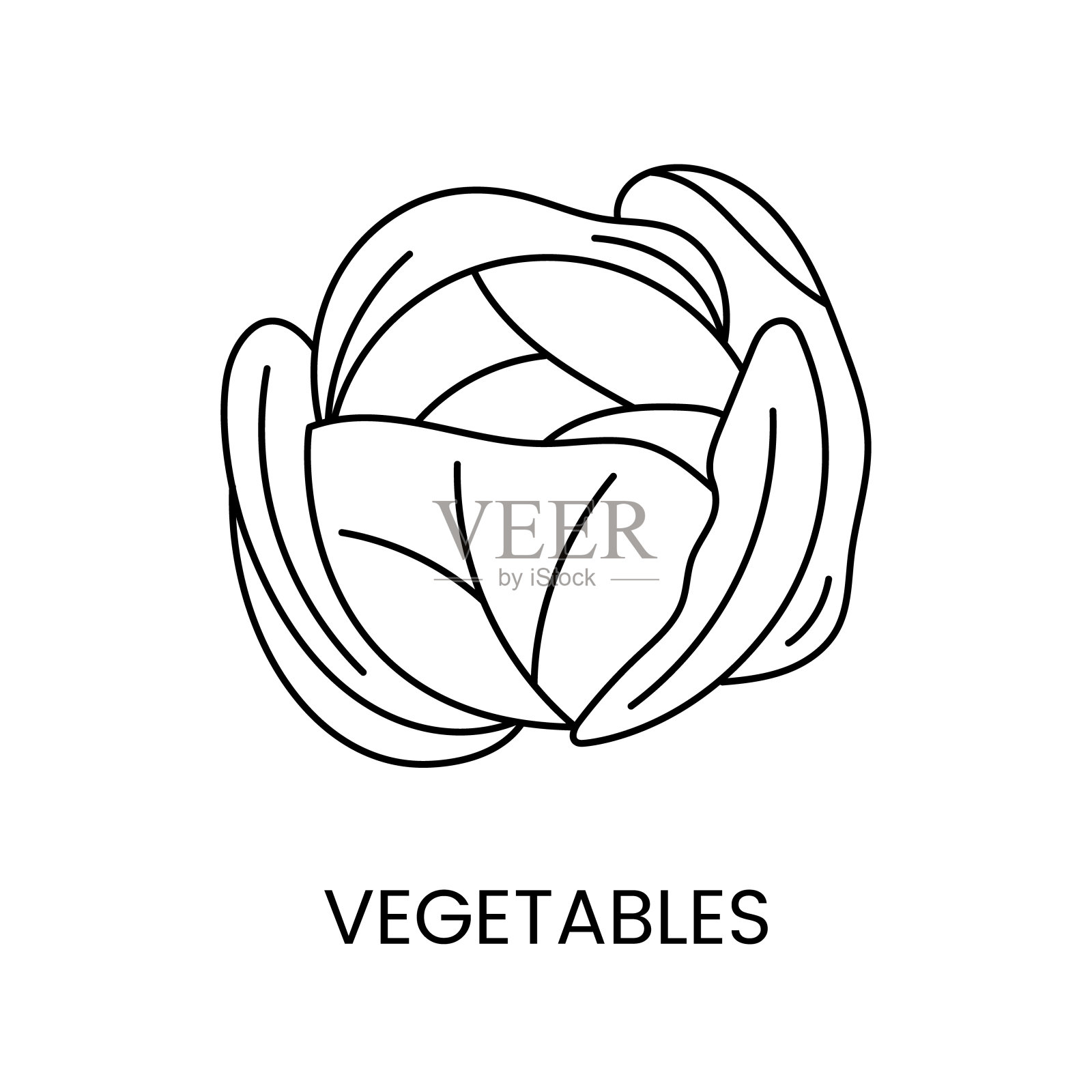 白菜线图标在矢量，蔬菜插图。插画图片素材