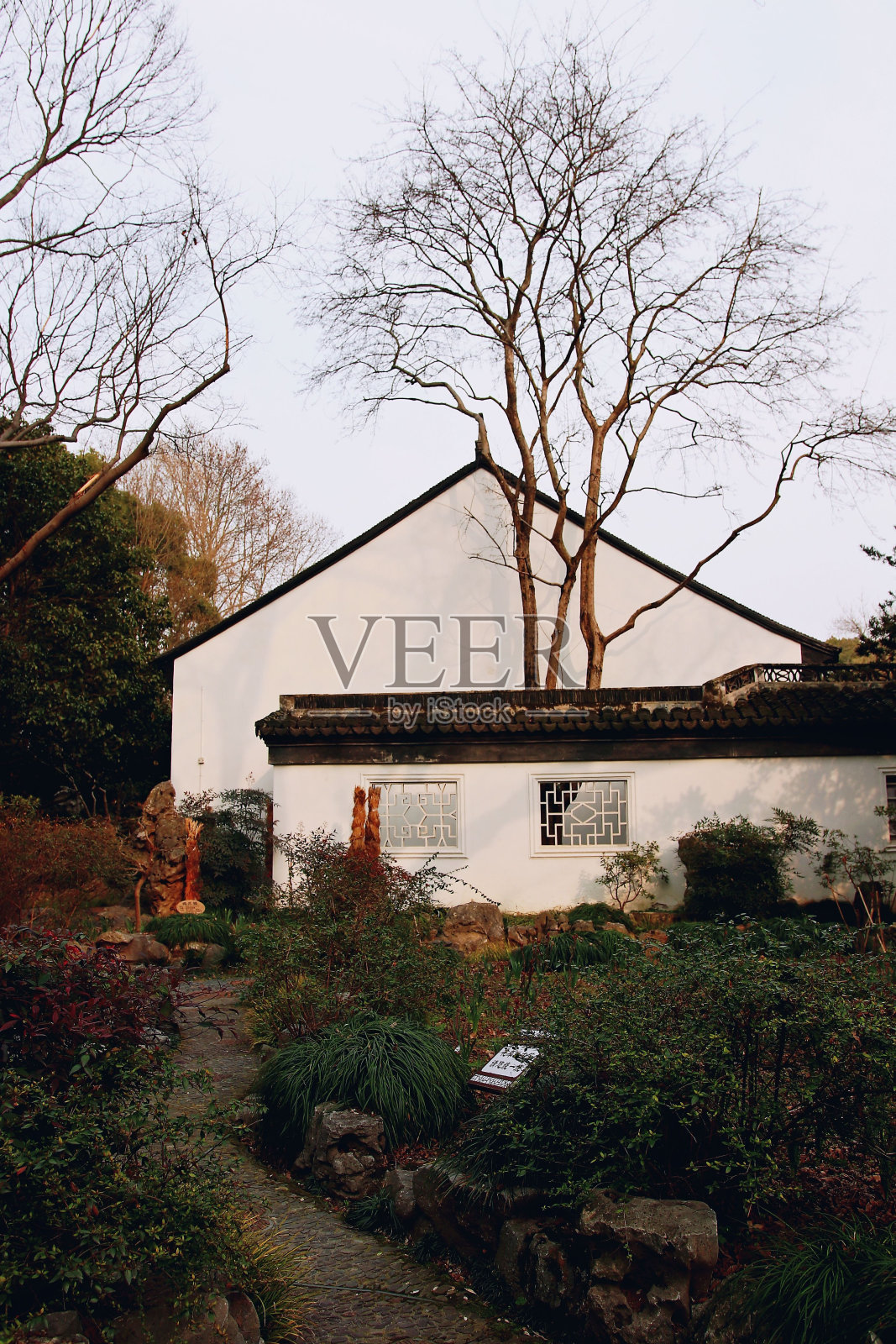 美丽的风景，在郁郁葱葱的岩石花园中，一棵高大的树矗立在亚洲风格的建筑旁边照片摄影图片