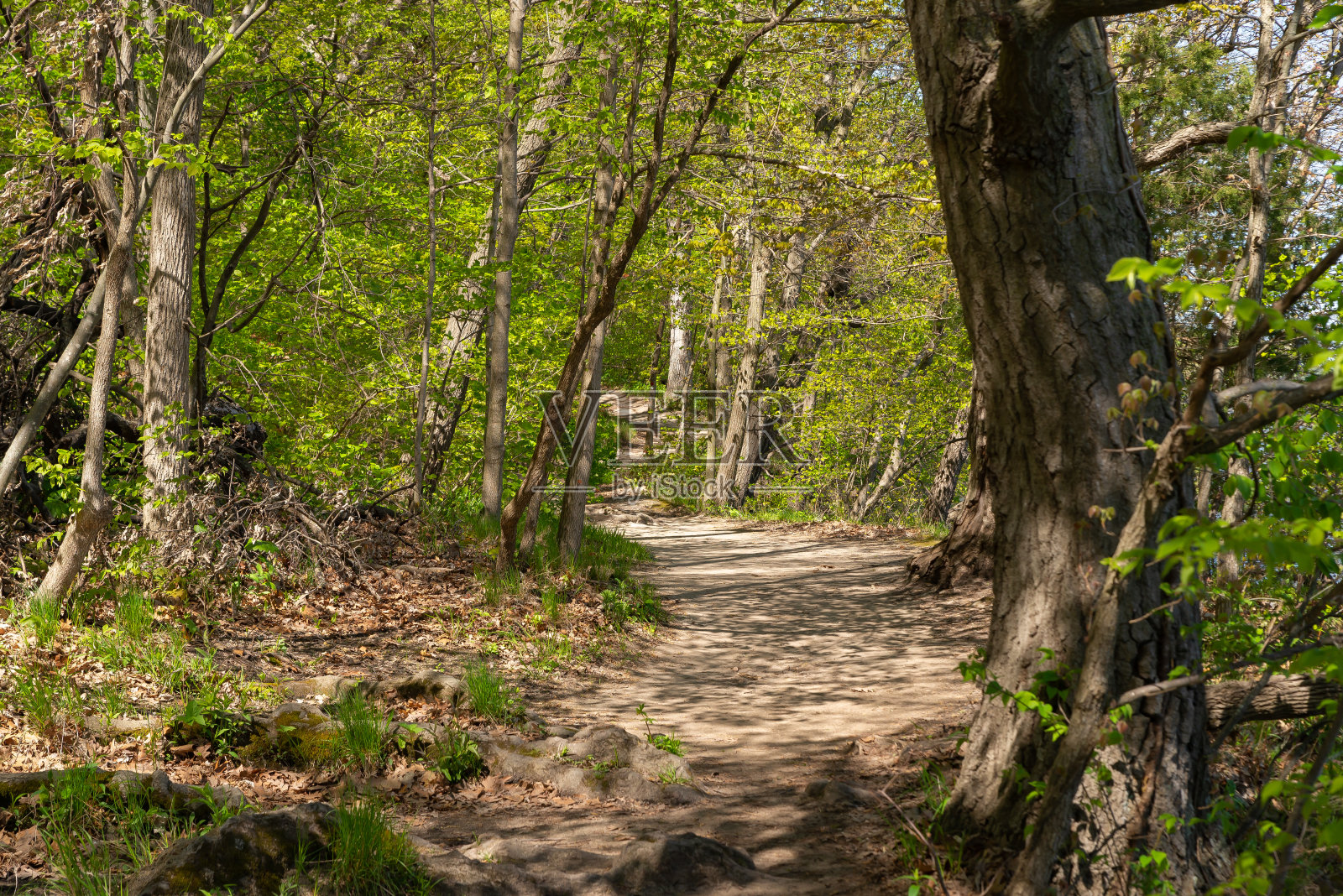 河路。照片摄影图片