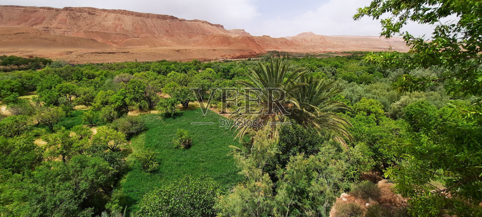 春天的氛围照片摄影图片