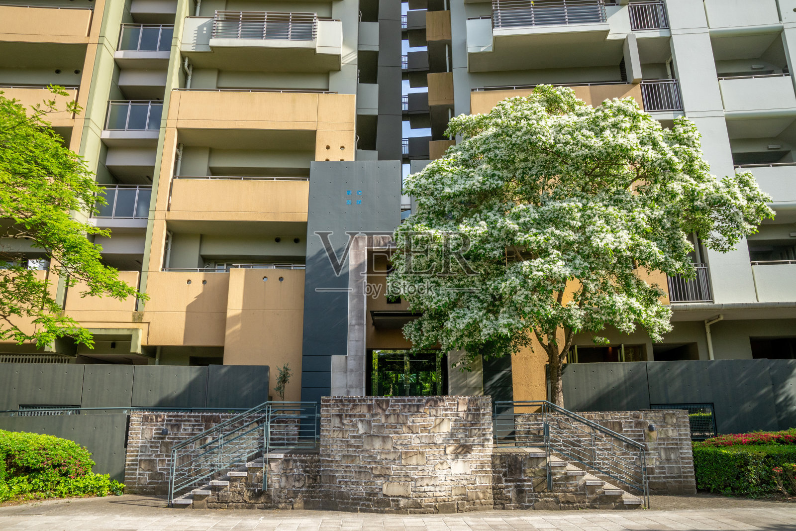 现代高层住宅公寓照片摄影图片