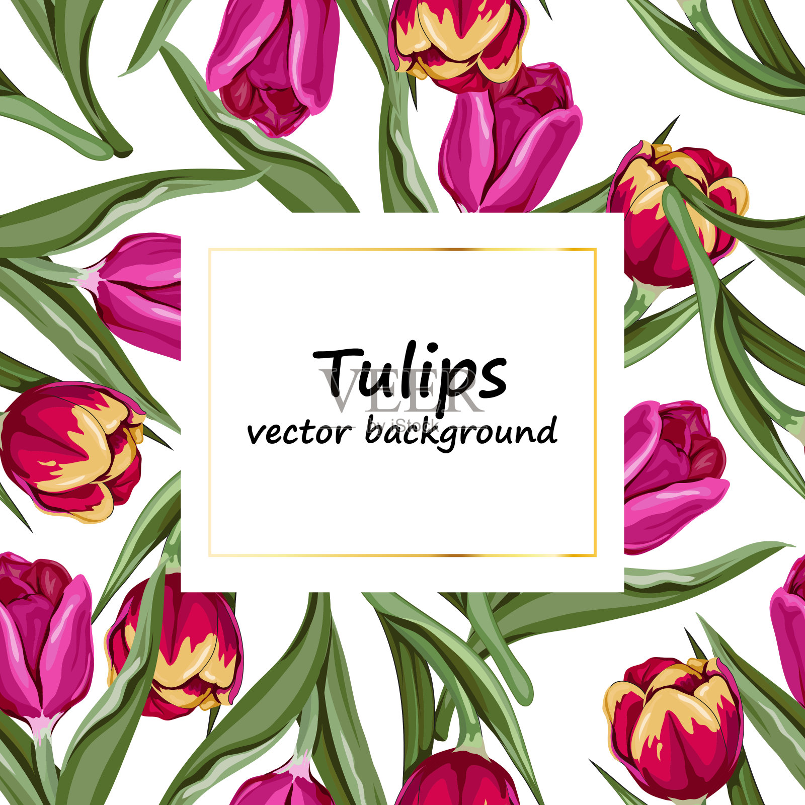 手绘春花旗。粉红色的郁金香。欢迎春天。手绘详细雕刻插图。适用于复活节，妇女节，情人节贺卡，促销传单，婚礼请柬插画图片素材