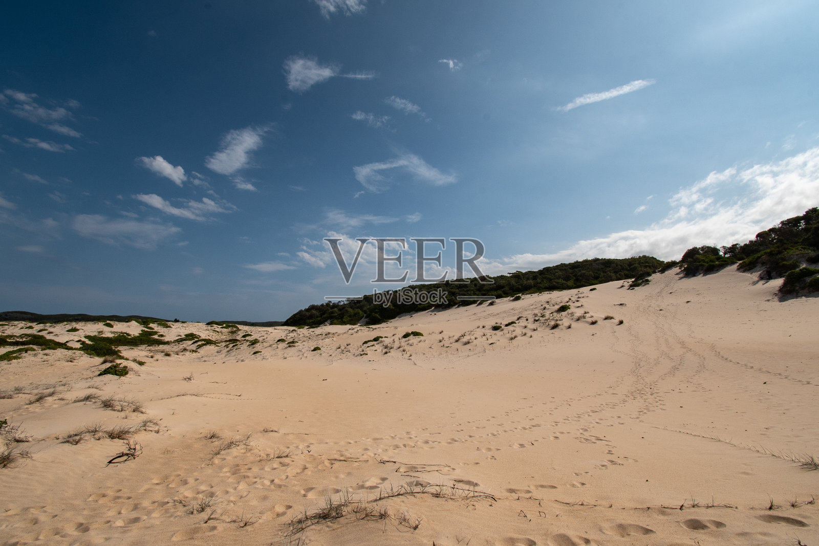 海滩上的沙丘照片摄影图片