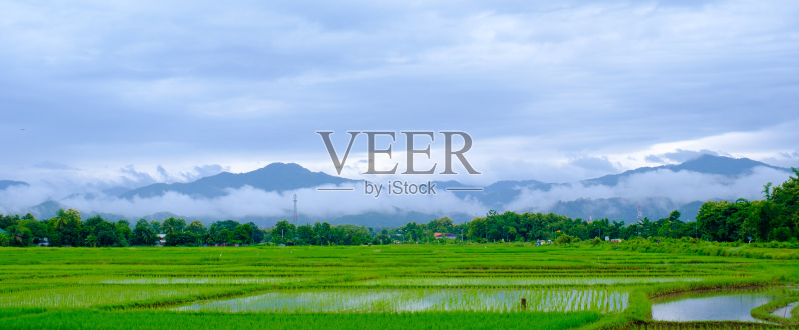 美丽的山和稻田在雨季照片摄影图片