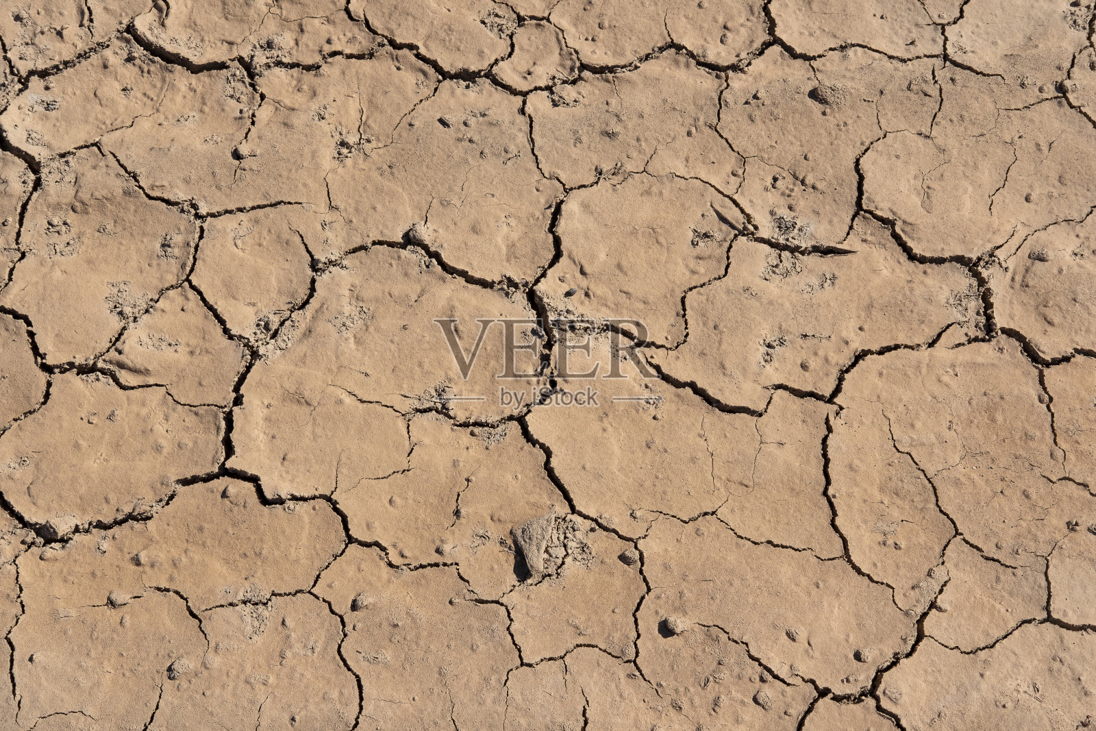 由于人类砍伐森林等环境退化造成的干旱，导致土地干裂照片摄影图片