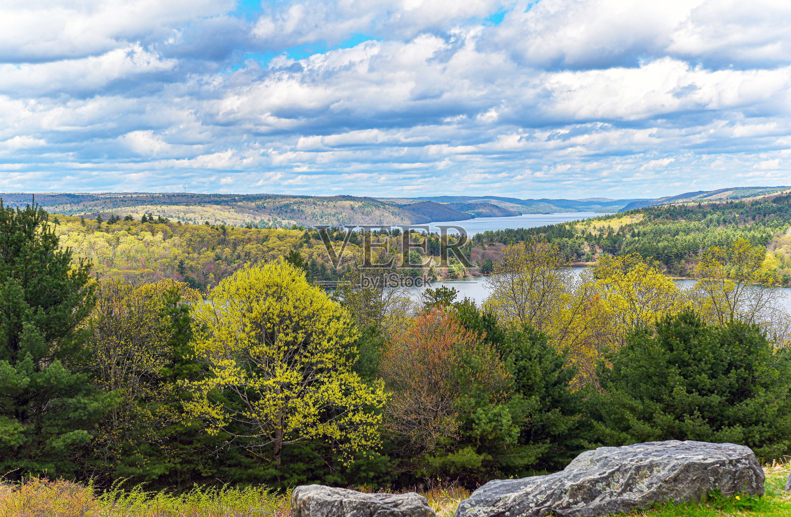 洒落的阳光点缀着庭院的风景照片摄影图片