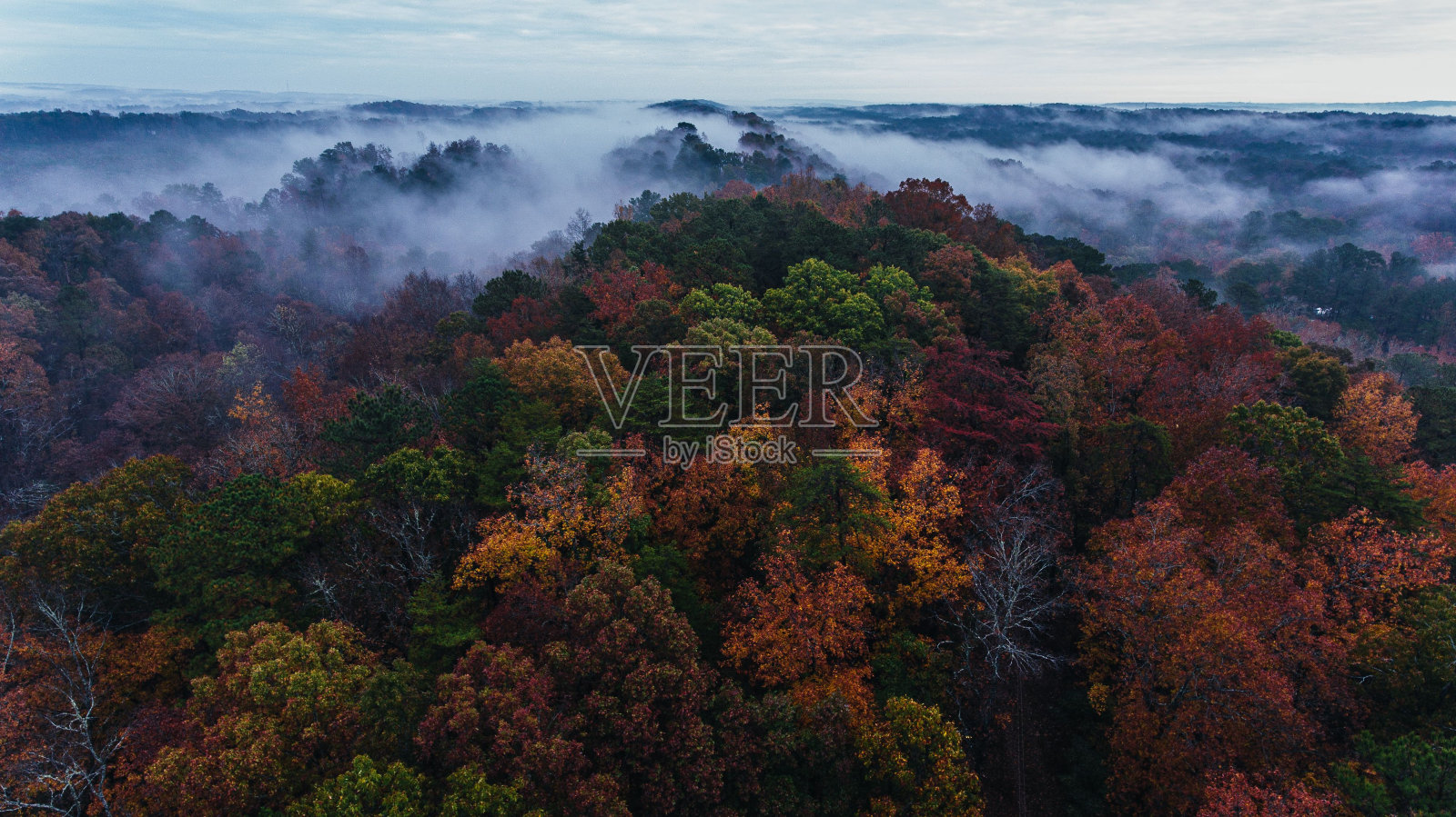 在雾天鸟瞰覆盖着秋天树木的山脉照片摄影图片