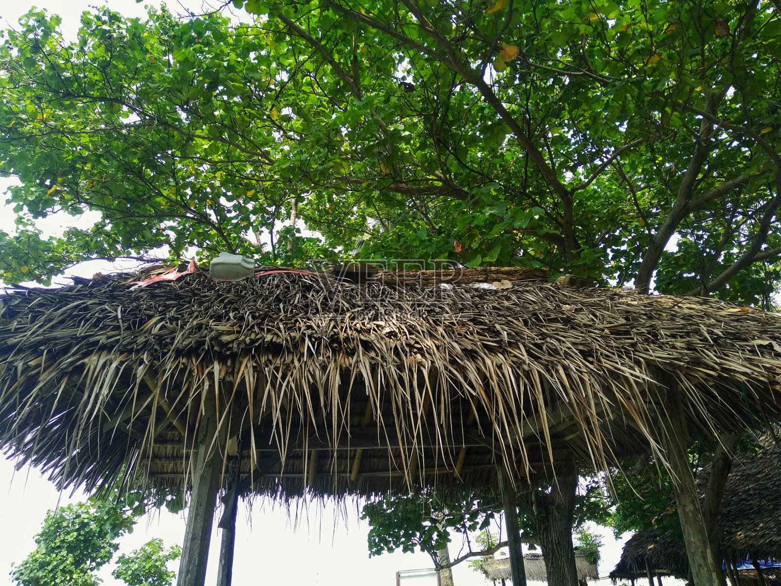 屋顶是用干棕榈叶做成的。照片摄影图片