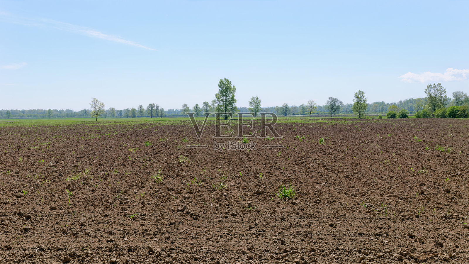 克罗地亚Lonjsko Polje自然公园附近的克拉杰村附近的农田和背景中的树木的低角度视图照片摄影图片