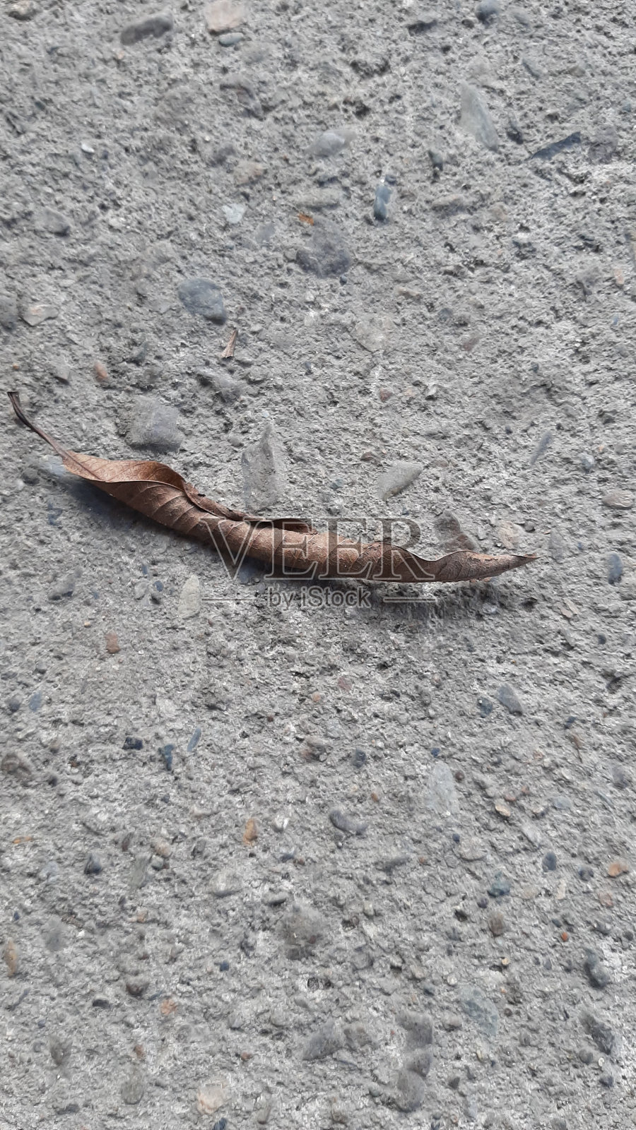 地板上有干树叶照片摄影图片