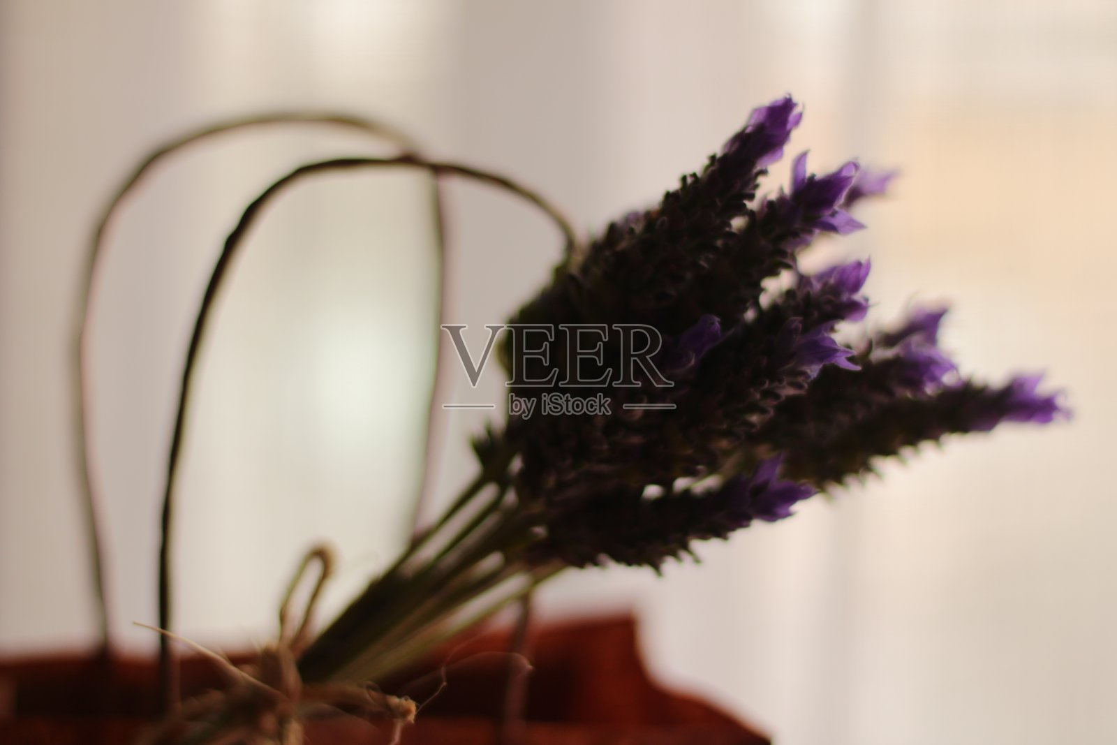 一束装在纸袋里的薰衣草照片摄影图片