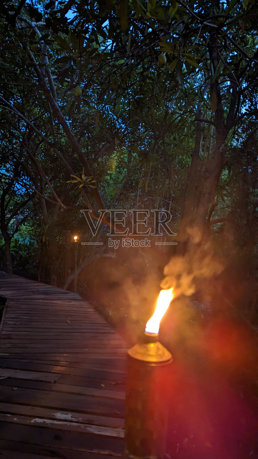 丛林度假照片摄影图片