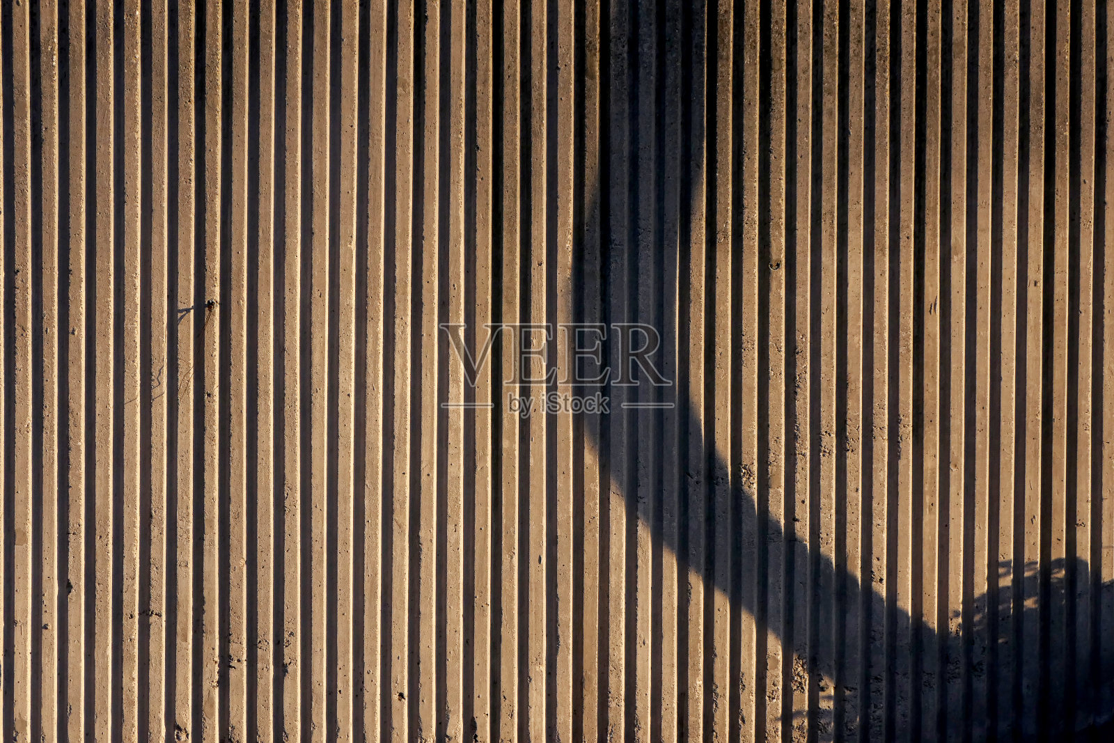 混凝土墙上一棵树的影子照片摄影图片