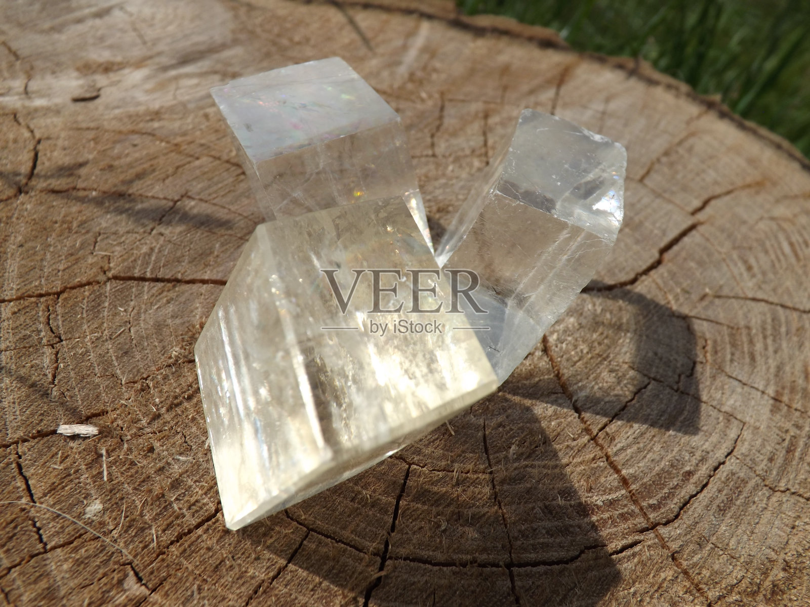 树桩上的阳光晶体照片摄影图片