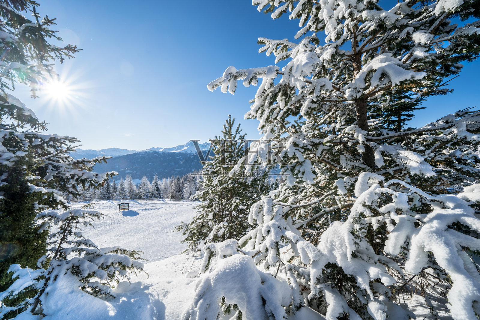 奥地利塞菲尔德的冬季森林照片摄影图片