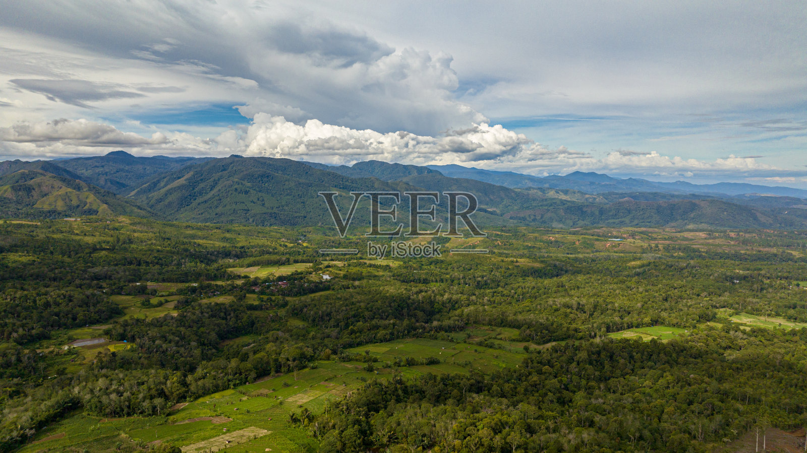 印度尼西亚苏门答腊岛的农田。照片摄影图片
