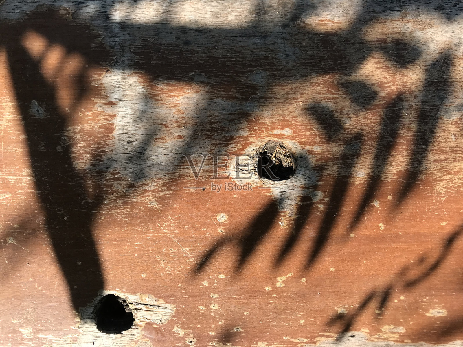 地上树的影子照片摄影图片