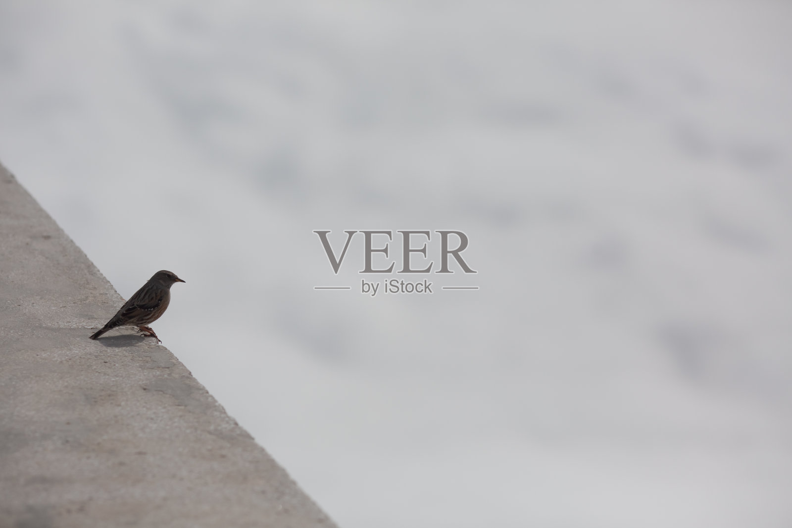 一只迷人的小鸟栖息在一个石头角落，在天空中翻腾的云的风景如画的背景下。这个场景唤起了一种宁静的感觉，捕捉了大自然的简单快乐。照片摄影图片