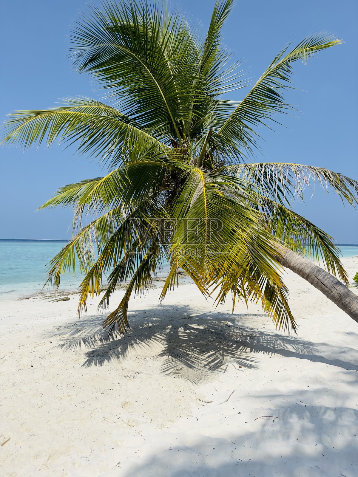 马尔代夫的天堂海滩，清澈的海洋和晴朗的天空照片摄影图片
