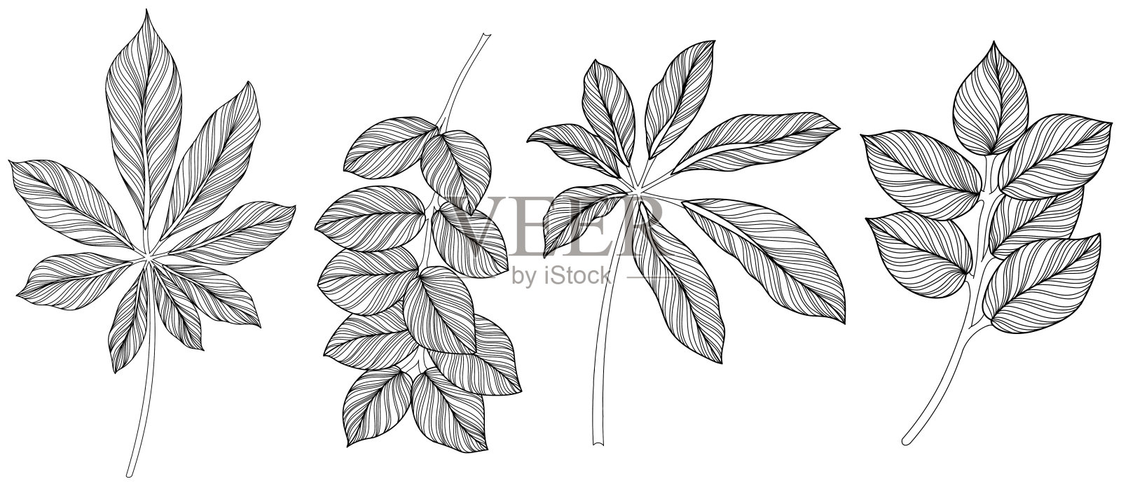 摘叶分离在白色的集合上。热带树叶落下。手绘复古插图。插画图片素材